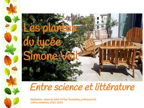 Les plantes du Lycée Simone Veil (Boulogne-Billancourt) : entre science et littérature
